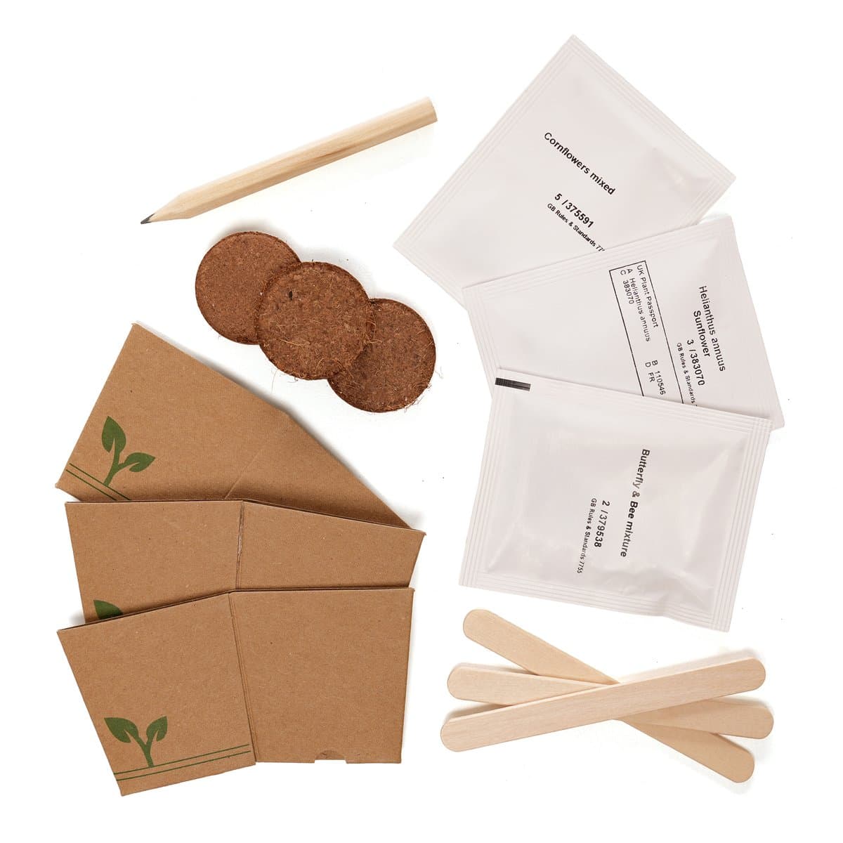 EVO Letterbox Grow Kit 5