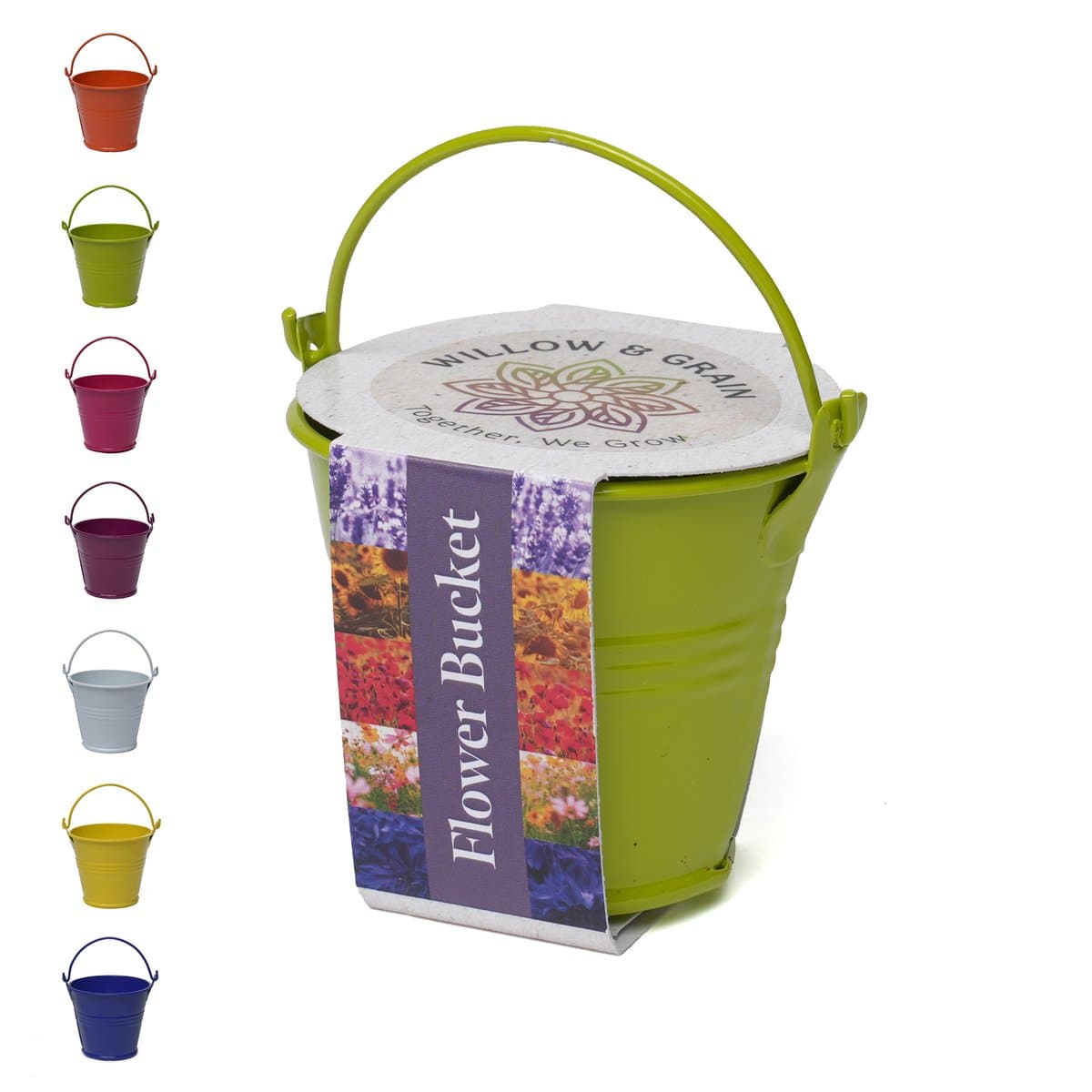 Coloured Mini Bucket Grow Kit 2