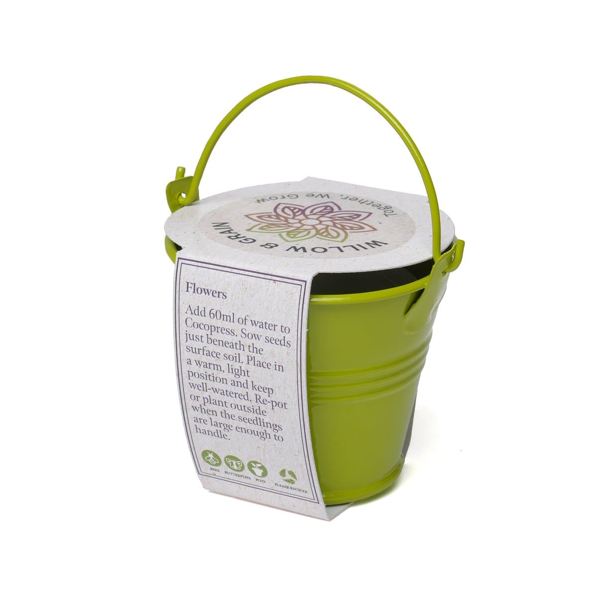 Coloured Mini Bucket Grow Kit 3
