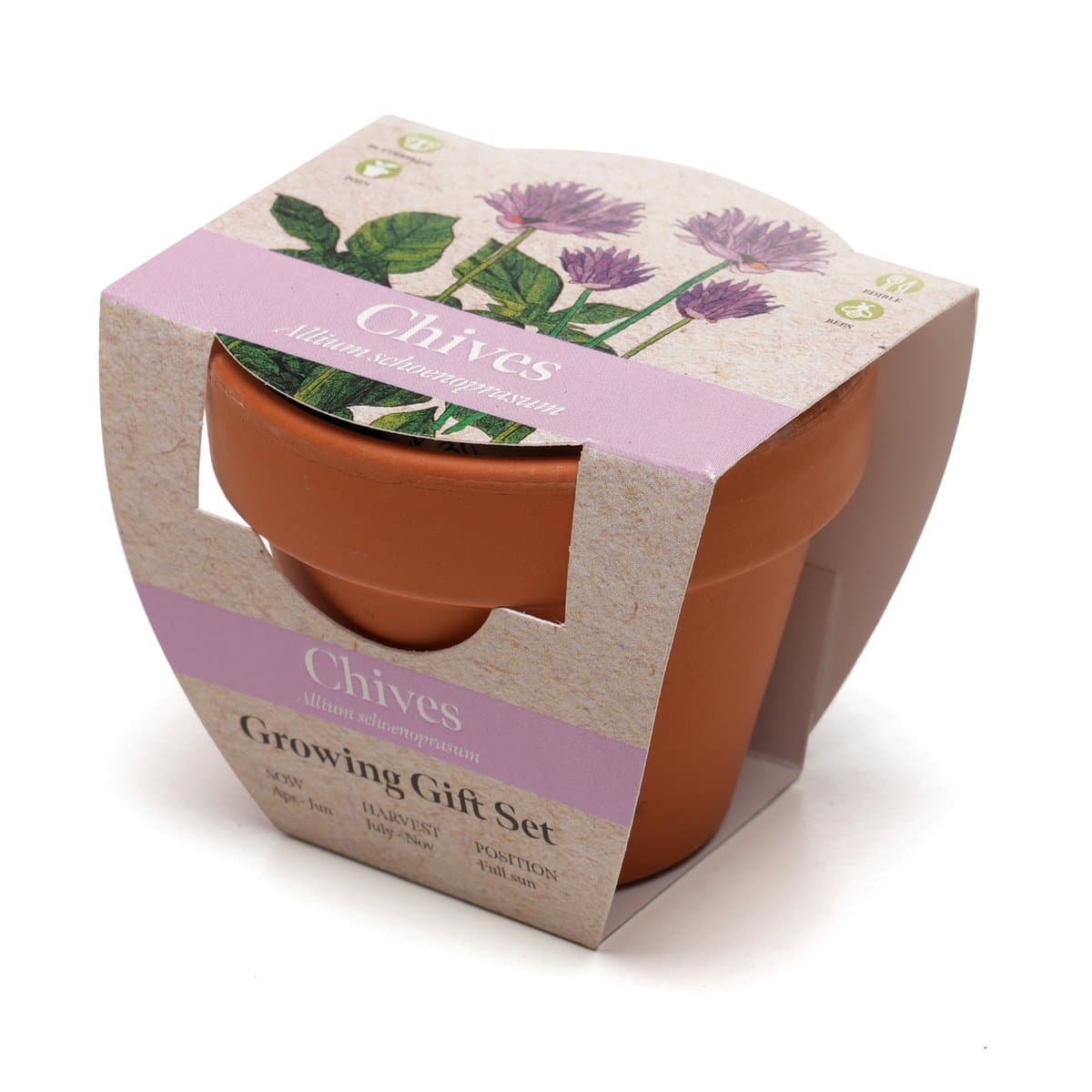 Standard Growing Gift with Mini Terracotta Pot 4