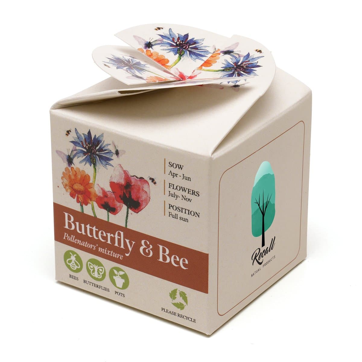 Mini Box Seed Kit 2