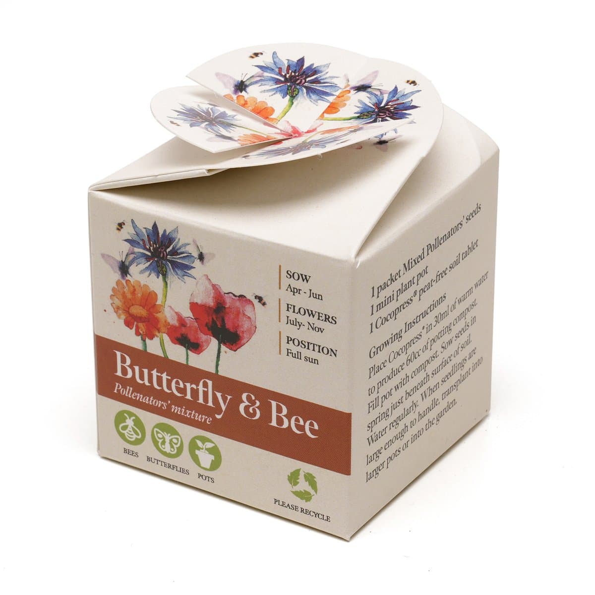 Mini Box Seed Kit 3