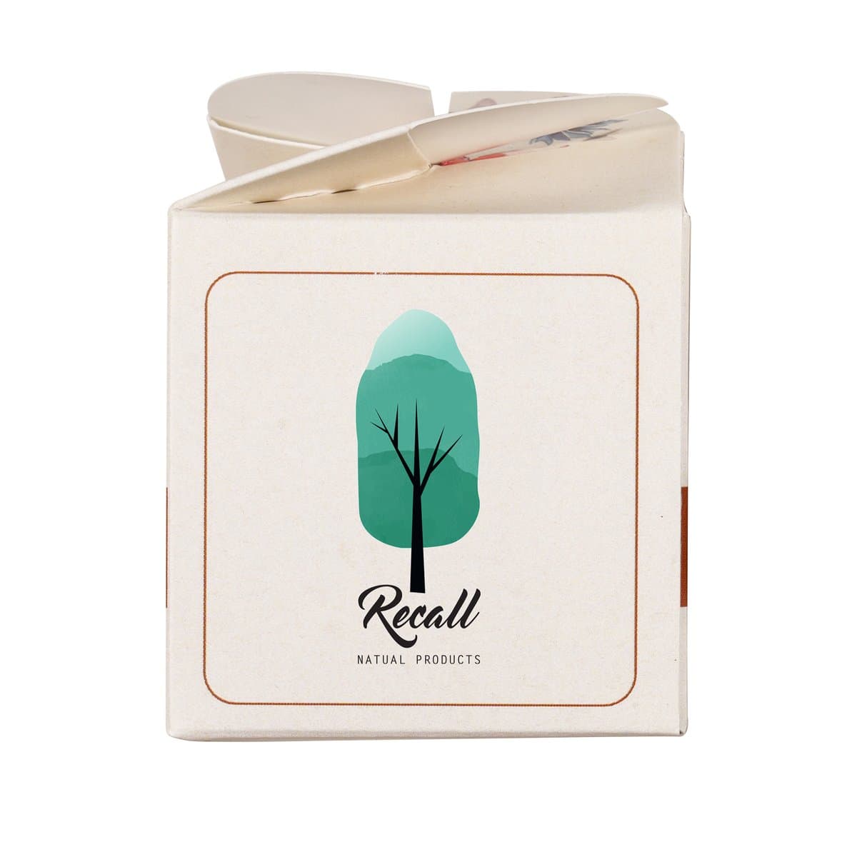 Mini Box Seed Kit 4