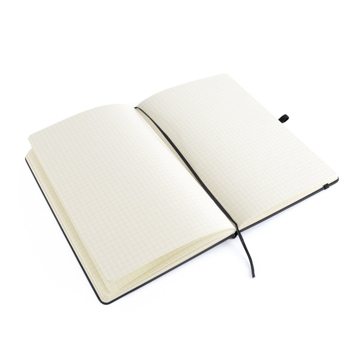 A5 Mole Graph Page Notebook 2