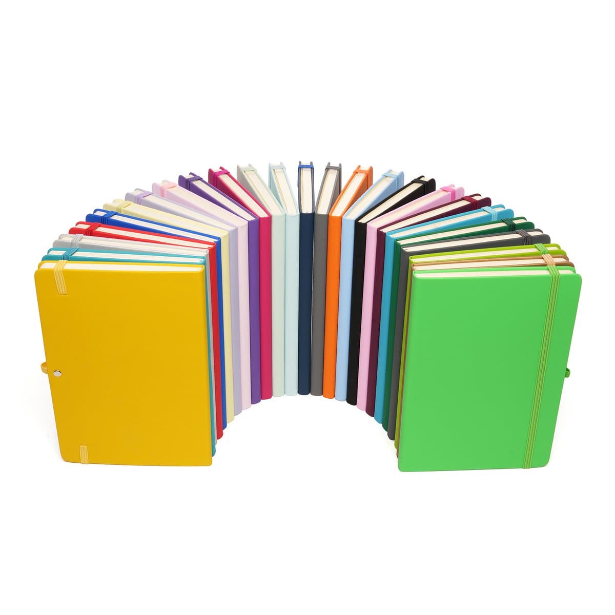 A5 Mole Notebook 2