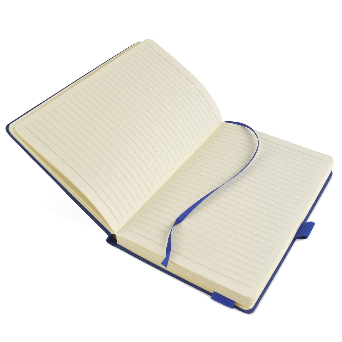 A5 Maxi Mole Notebook 2