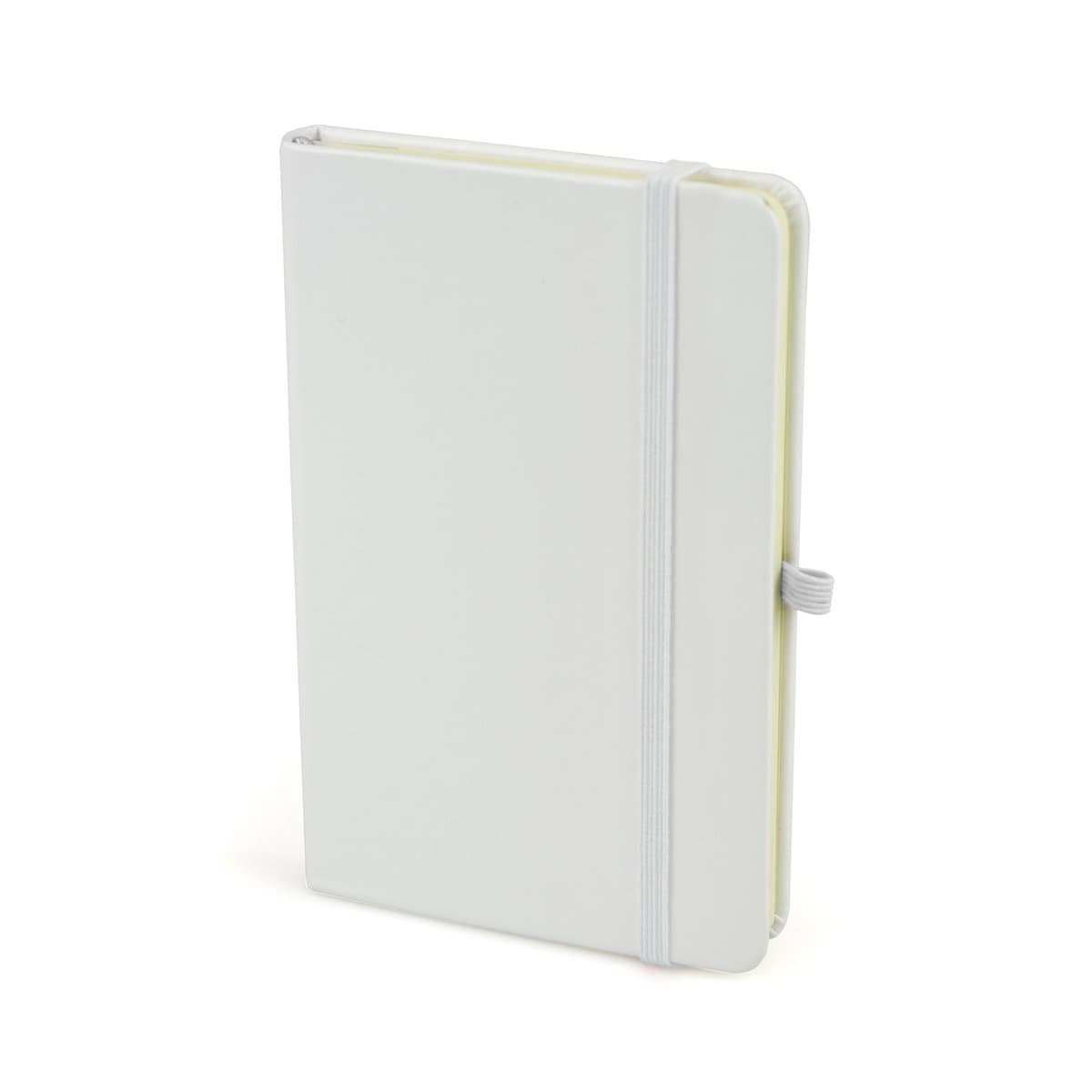 A6 White Mole Mate Duo 4