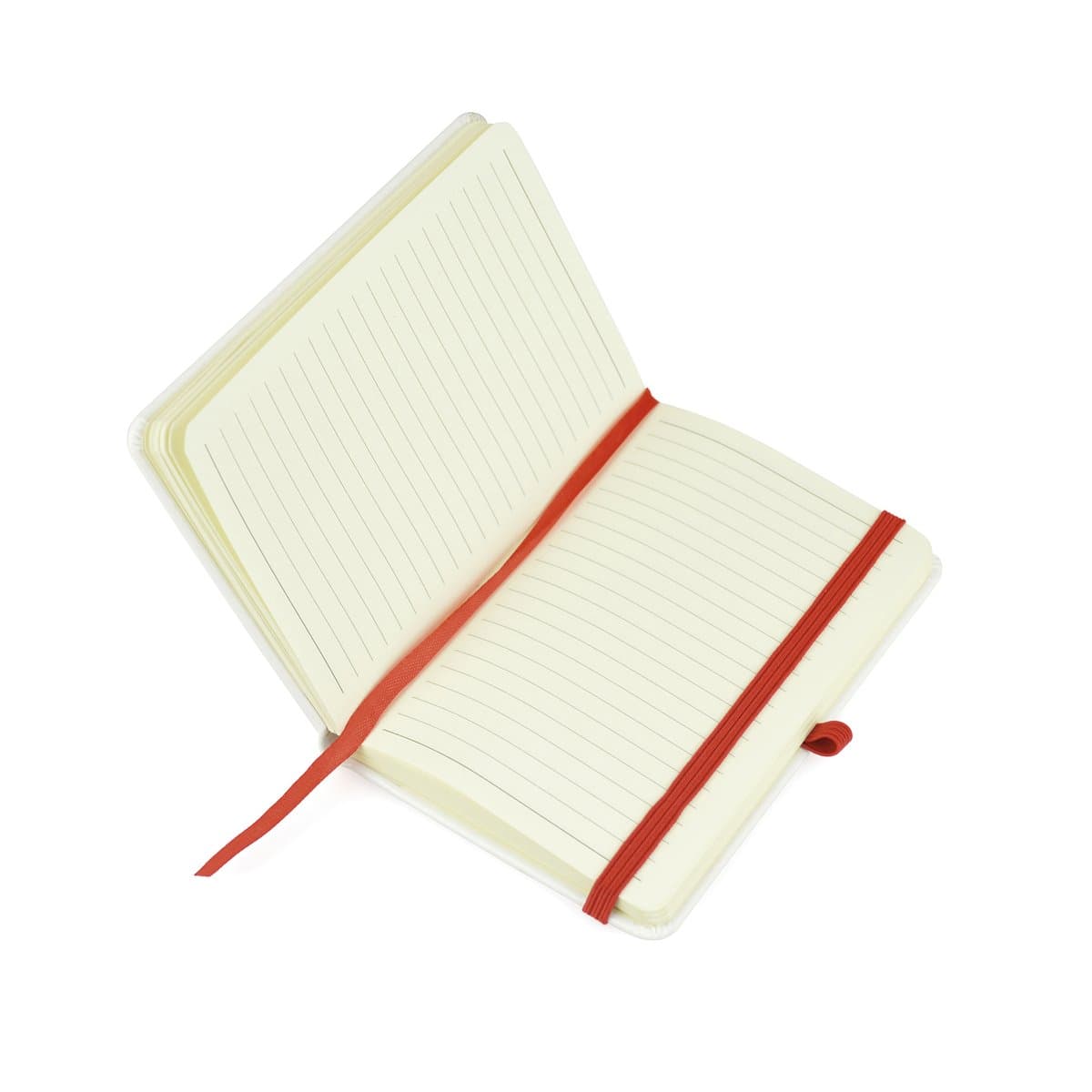 A6 White Mole Notebook 2
