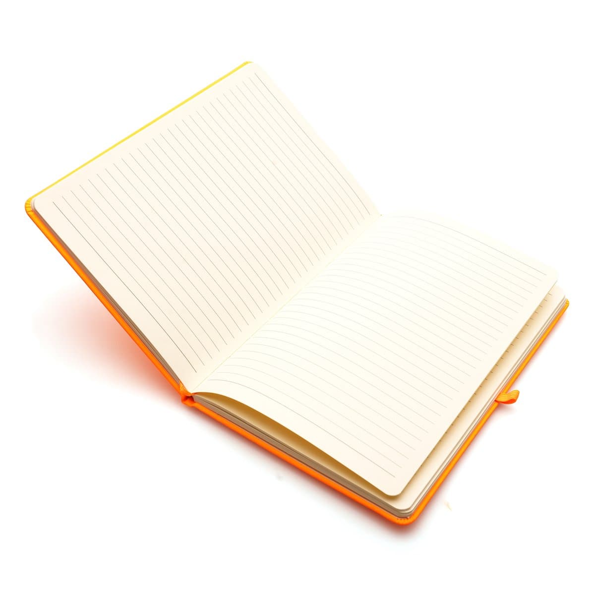 A5 Neon Mole Notebook 5
