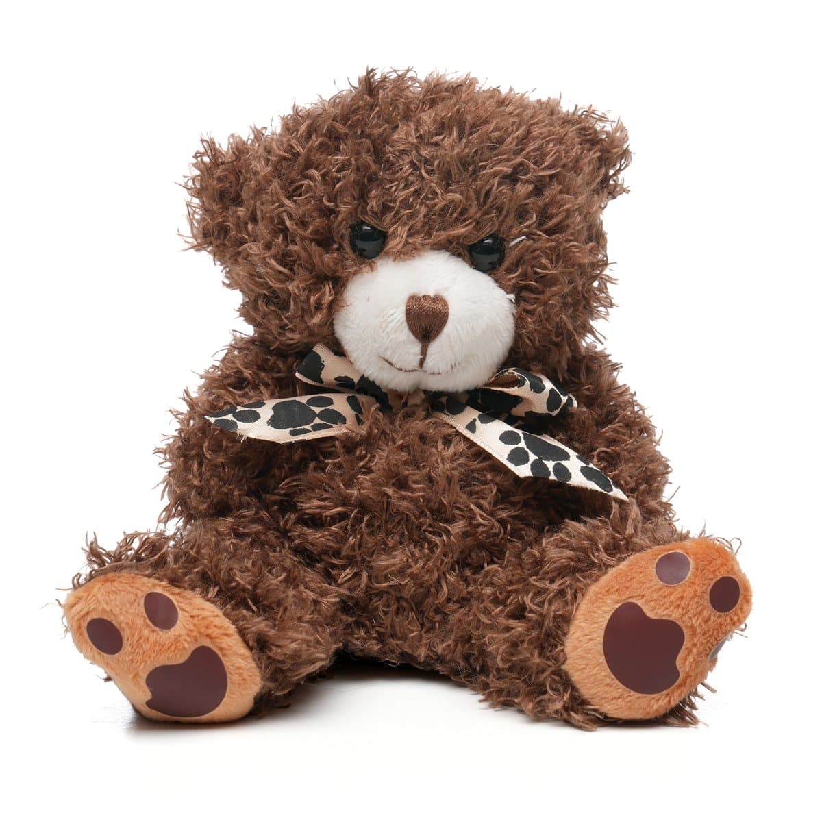 Medium Paw Teddy 4