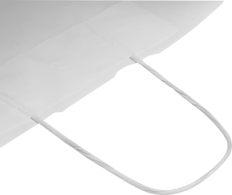 Kraft 80-90 g/m2 paper bag with twisted handles - 25 x 15 x 32 cm 5