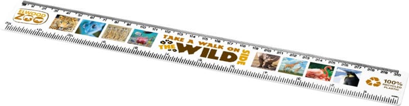 Refari 30 cm recycled plastic ruler 4