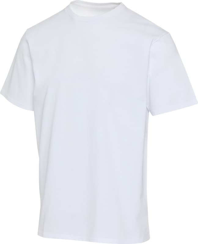 Lucas 260 g/m2 unisex OCS organic oversized t-shirt 