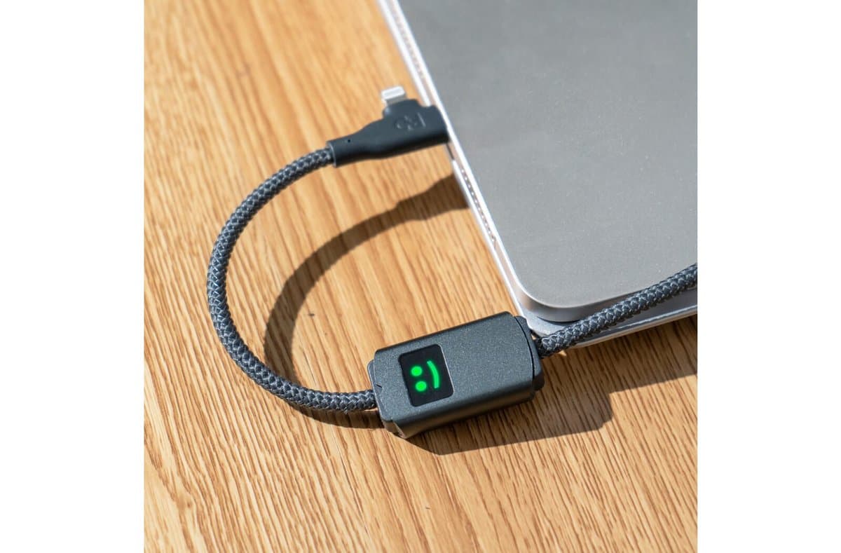 Xoopar Allure PD Cable with data transfer 4