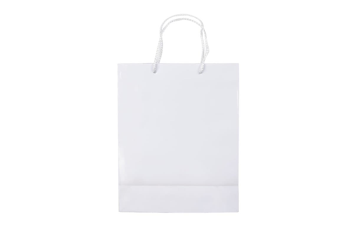 Paper bag medium 5
