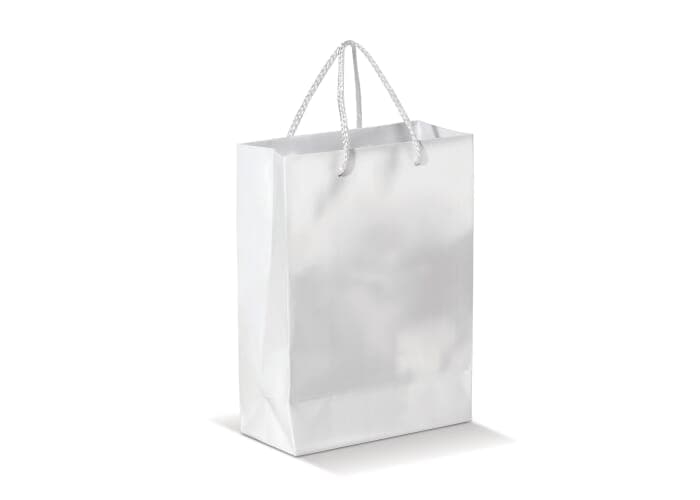 Paper bag large 2
