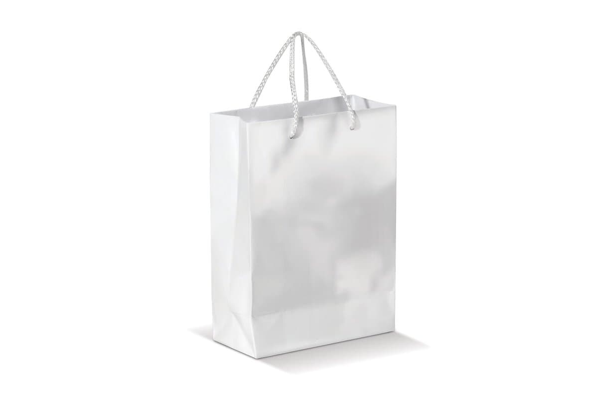 Paper bag large 3