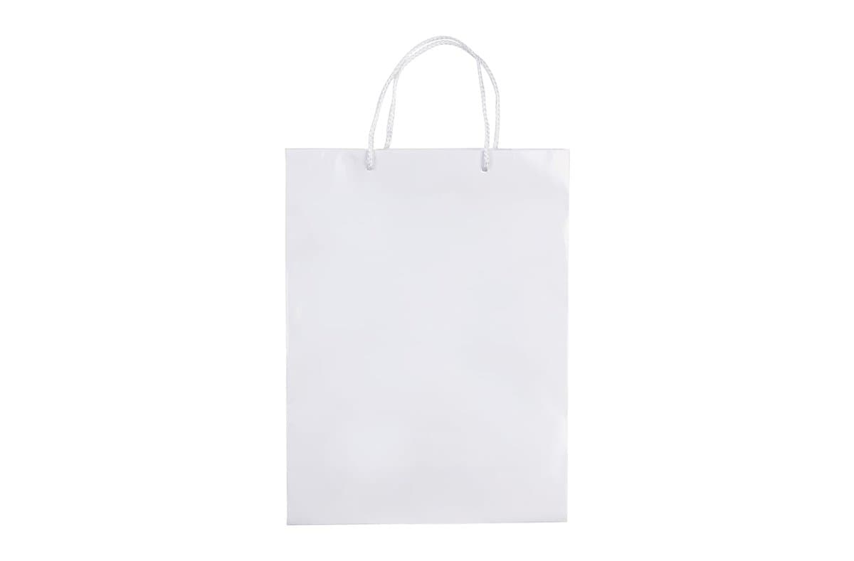 Paper bag large 4