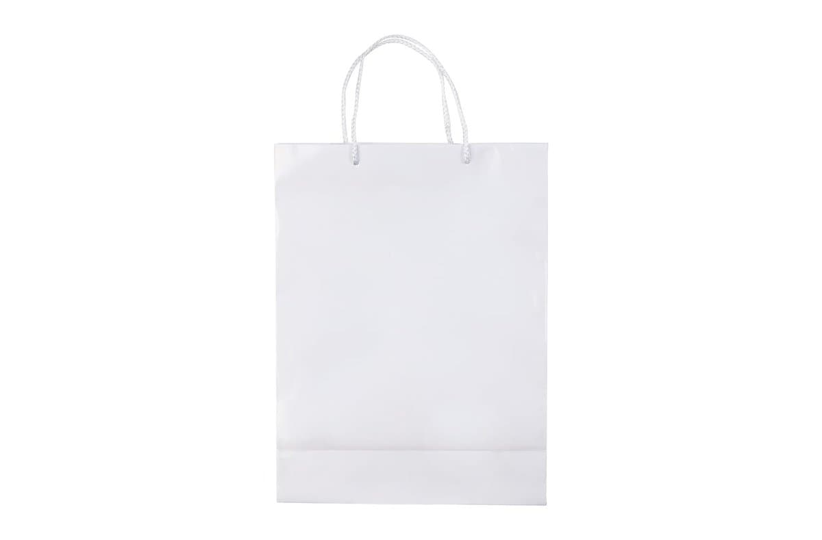 Paper bag large 5