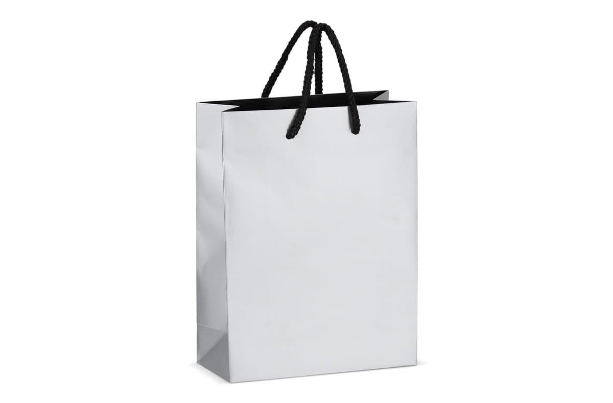 Paper gift bag 18 x 8 x 24cm 200g/m² 3