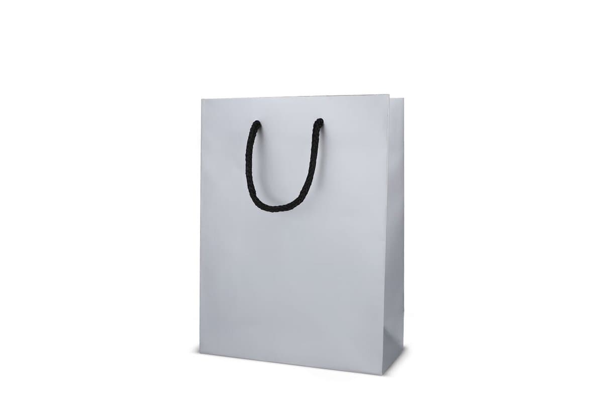 Paper gift bag 18 x 8 x 24cm 200g/m² 5