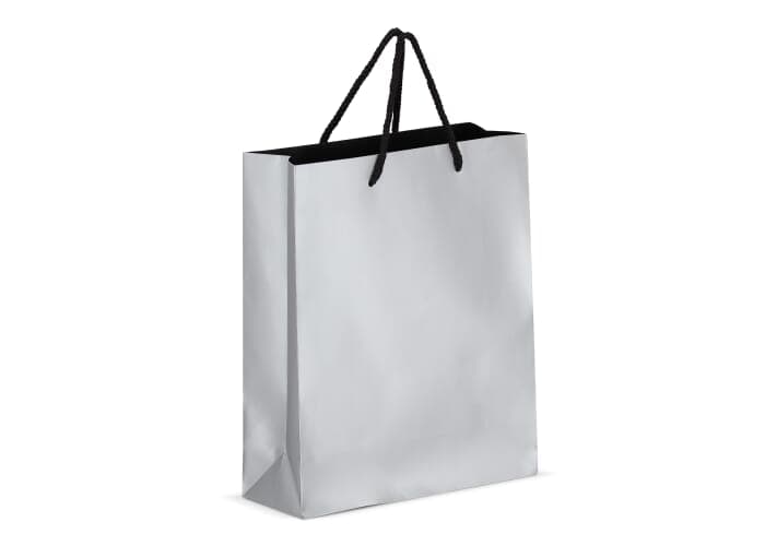 Paper gift bag 24 x 10 x 30cm 200g/m² 2