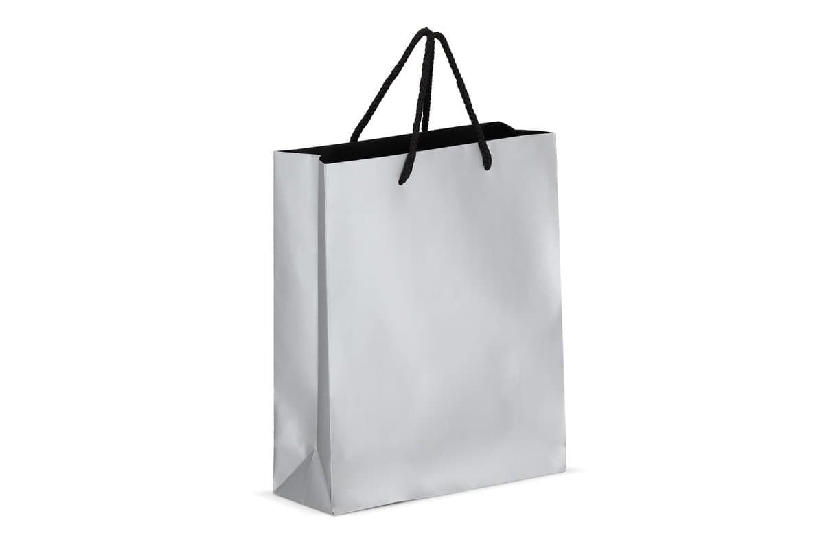 Paper gift bag 24 x 10 x 30cm 200g/m² 3