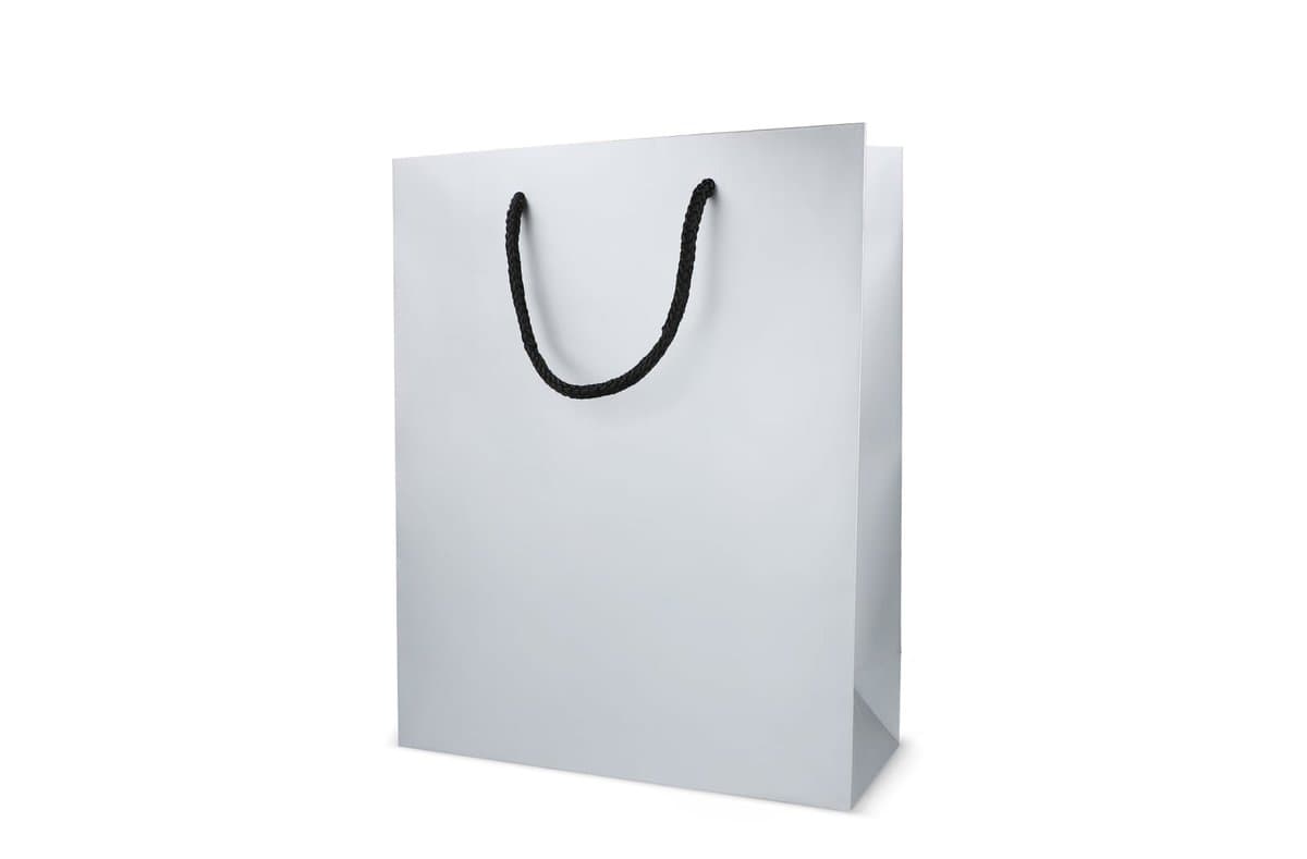 Paper gift bag 24 x 10 x 30cm 200g/m² 4