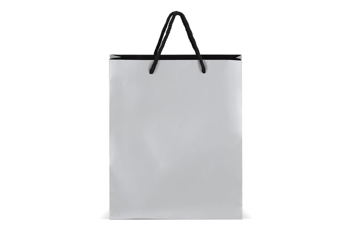 Paper gift bag 24 x 10 x 30cm 200g/m² 5