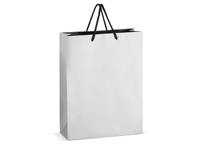 FSC Paper gift bag 30 x 12 x 40cm 200g/m² 2