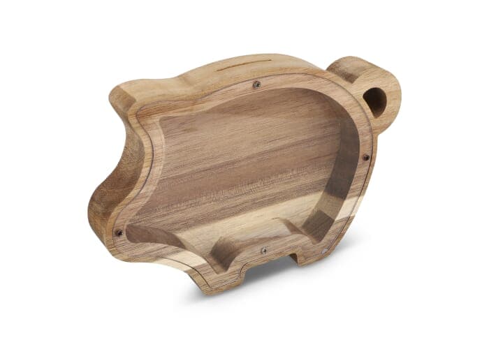 PennyVista Piggy Bank 2