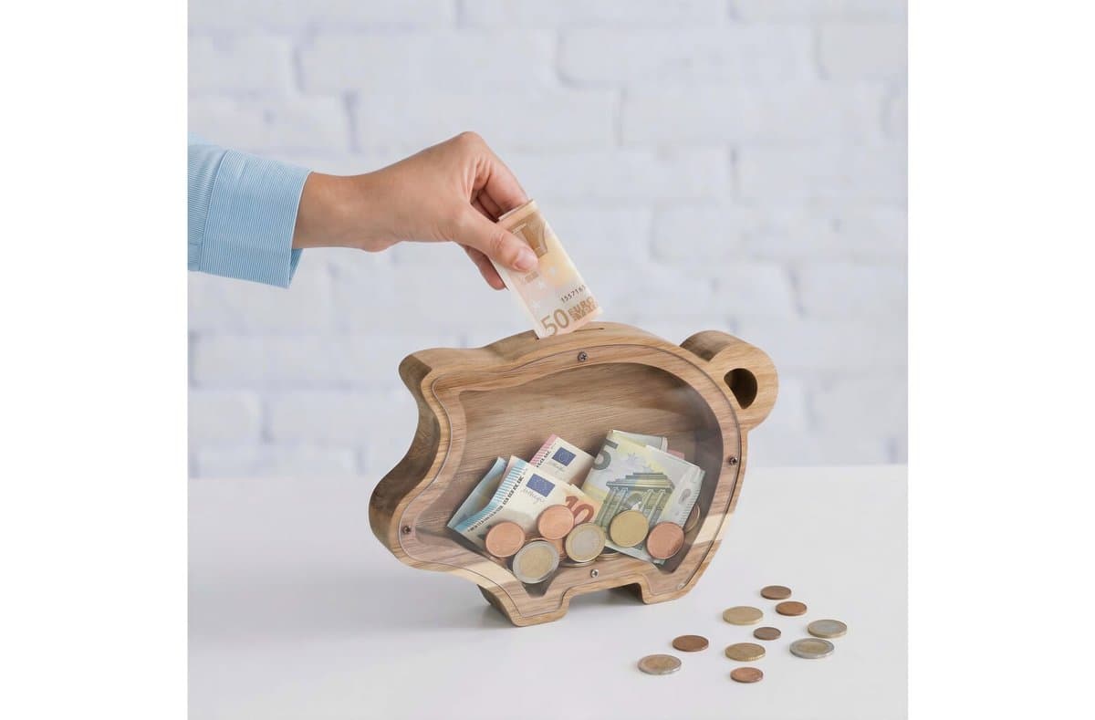 PennyVista Piggy Bank 4