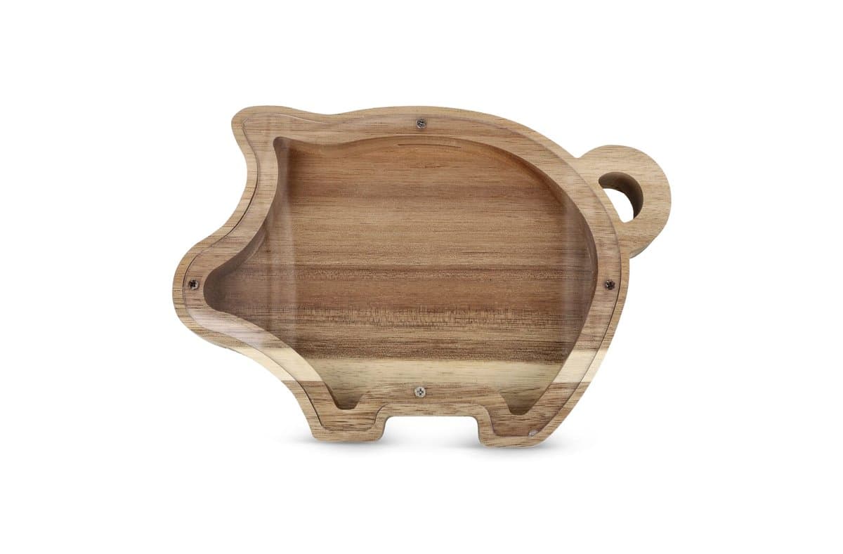 PennyVista Piggy Bank 5