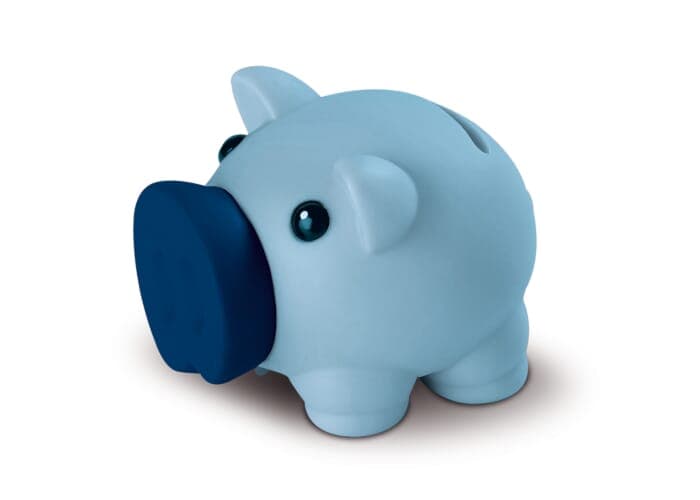 Little piggy swientie - piggy bank 2