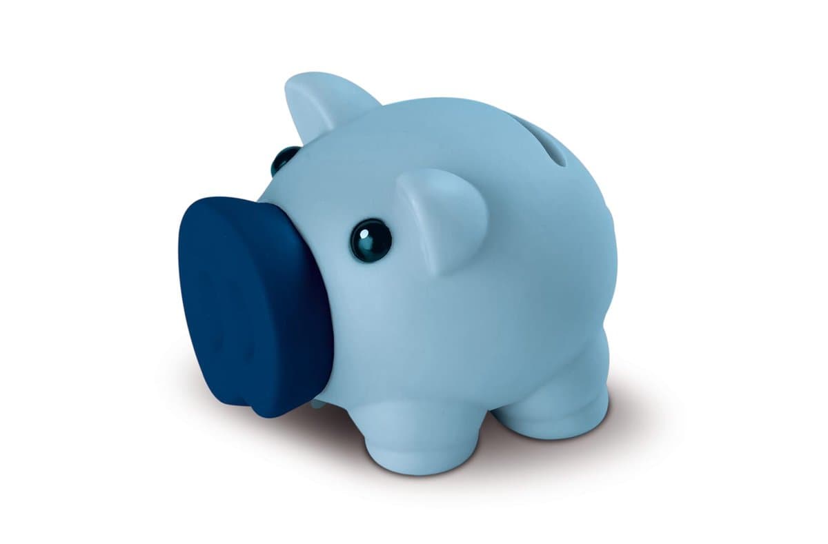 Little piggy swientie - piggy bank 3
