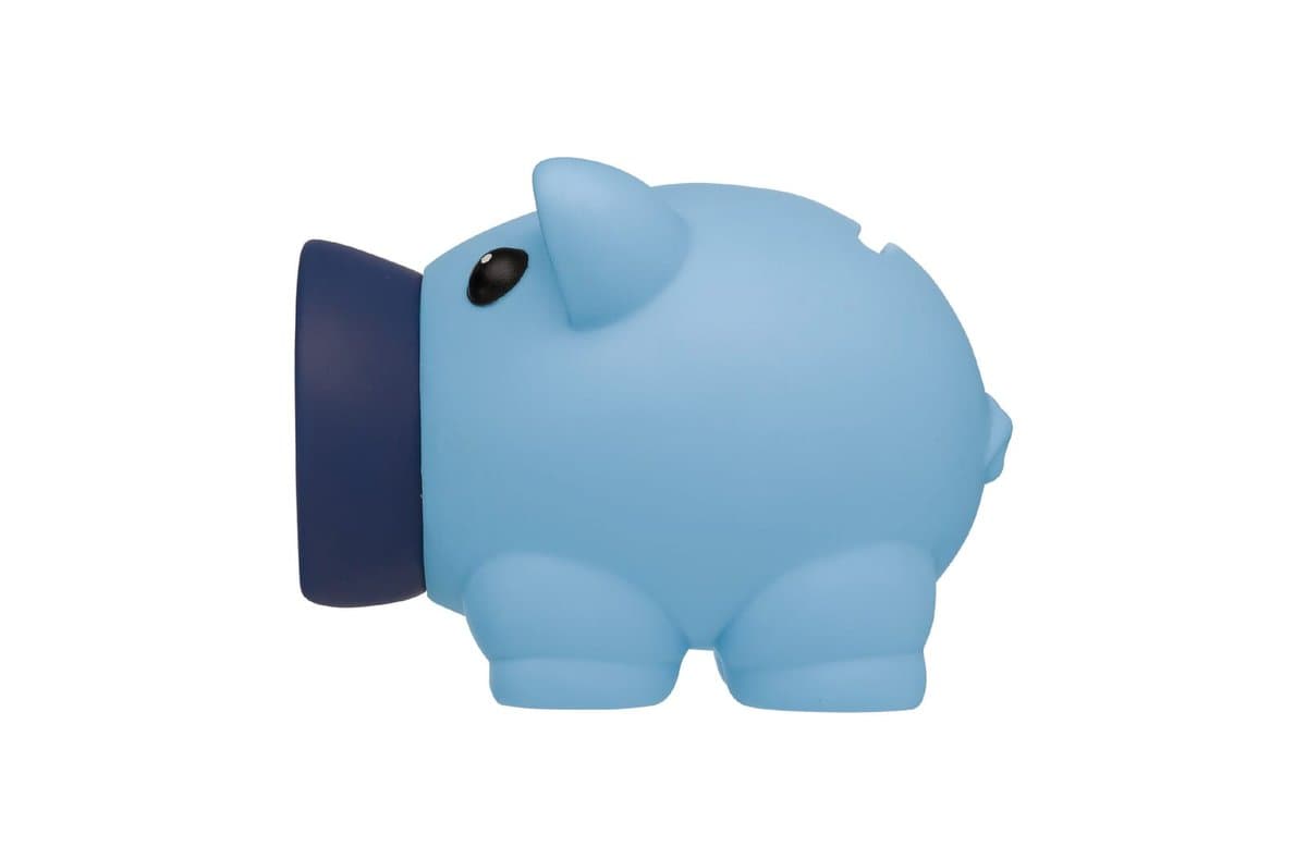 Little piggy swientie - piggy bank 4