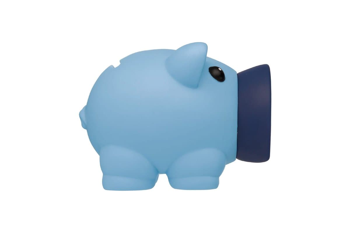 Little piggy swientie - piggy bank 5