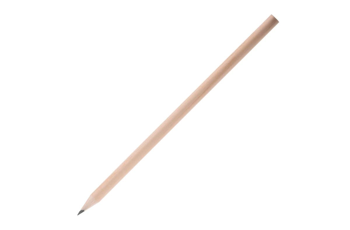 Pencil bio 3