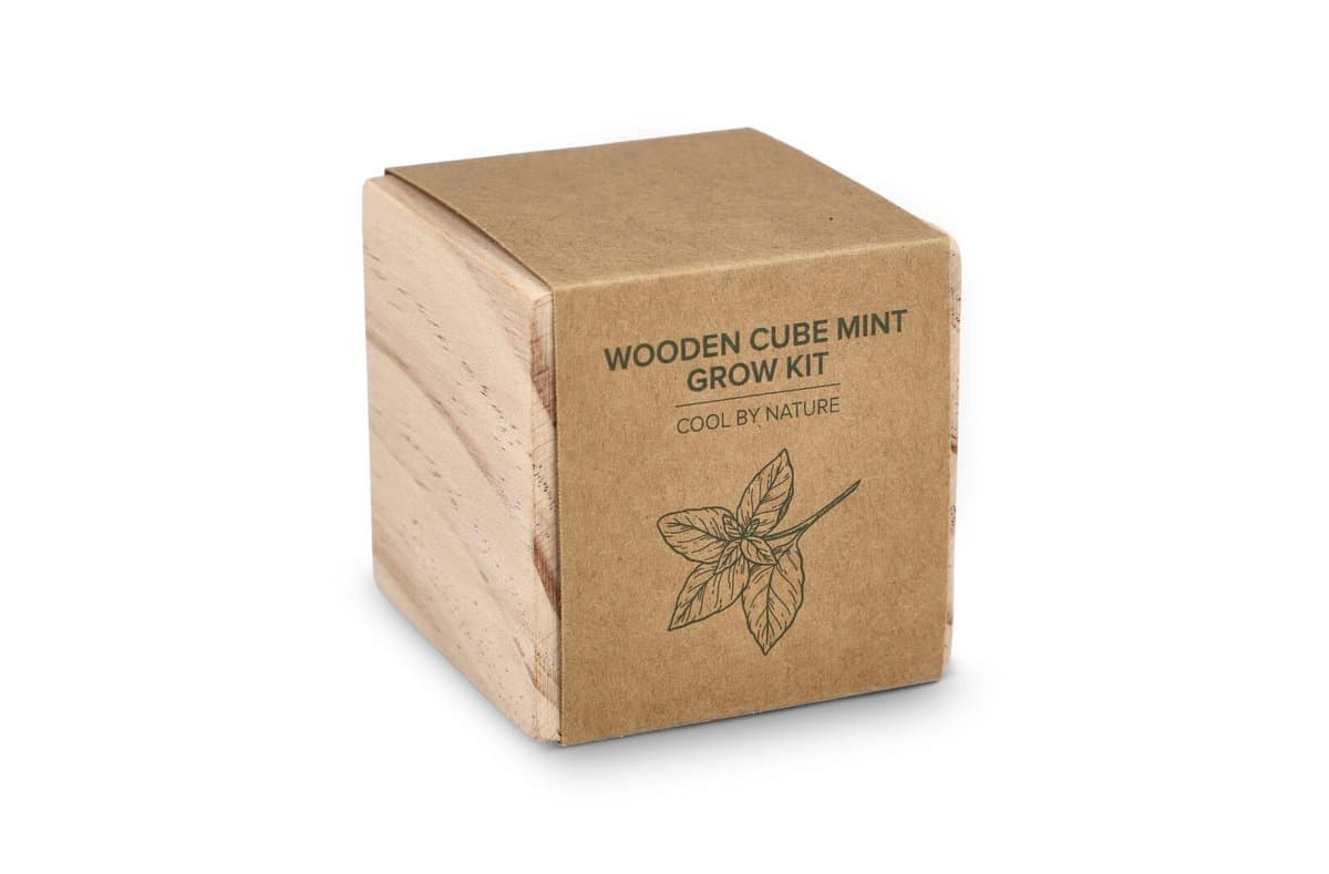 FSC Wooden Planter Set – Mint 3
