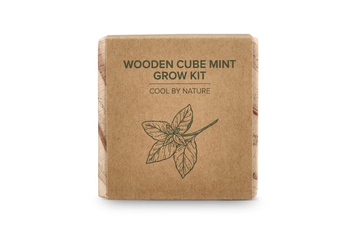 FSC Wooden Planter Set – Mint 4