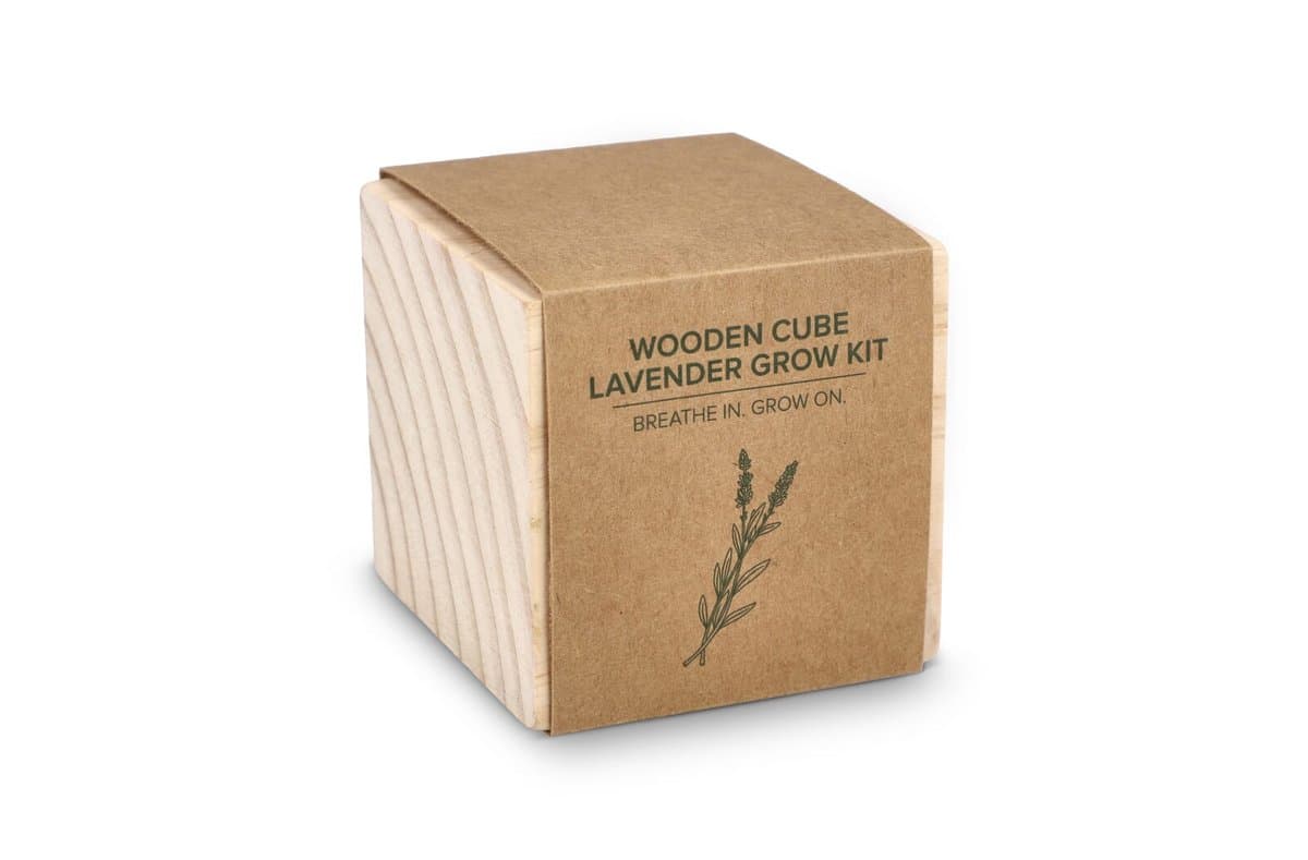 FSC Wooden Planter Set – Lavendar 3