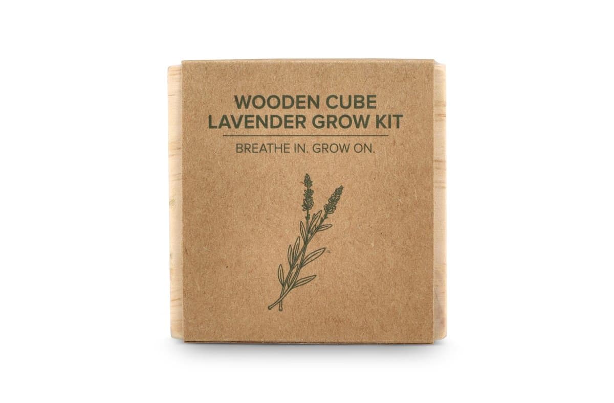 FSC Wooden Planter Set – Lavendar 4