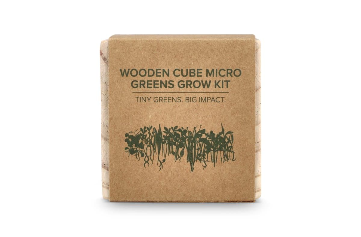 FSC Wooden Planter Set - Microgreens 4