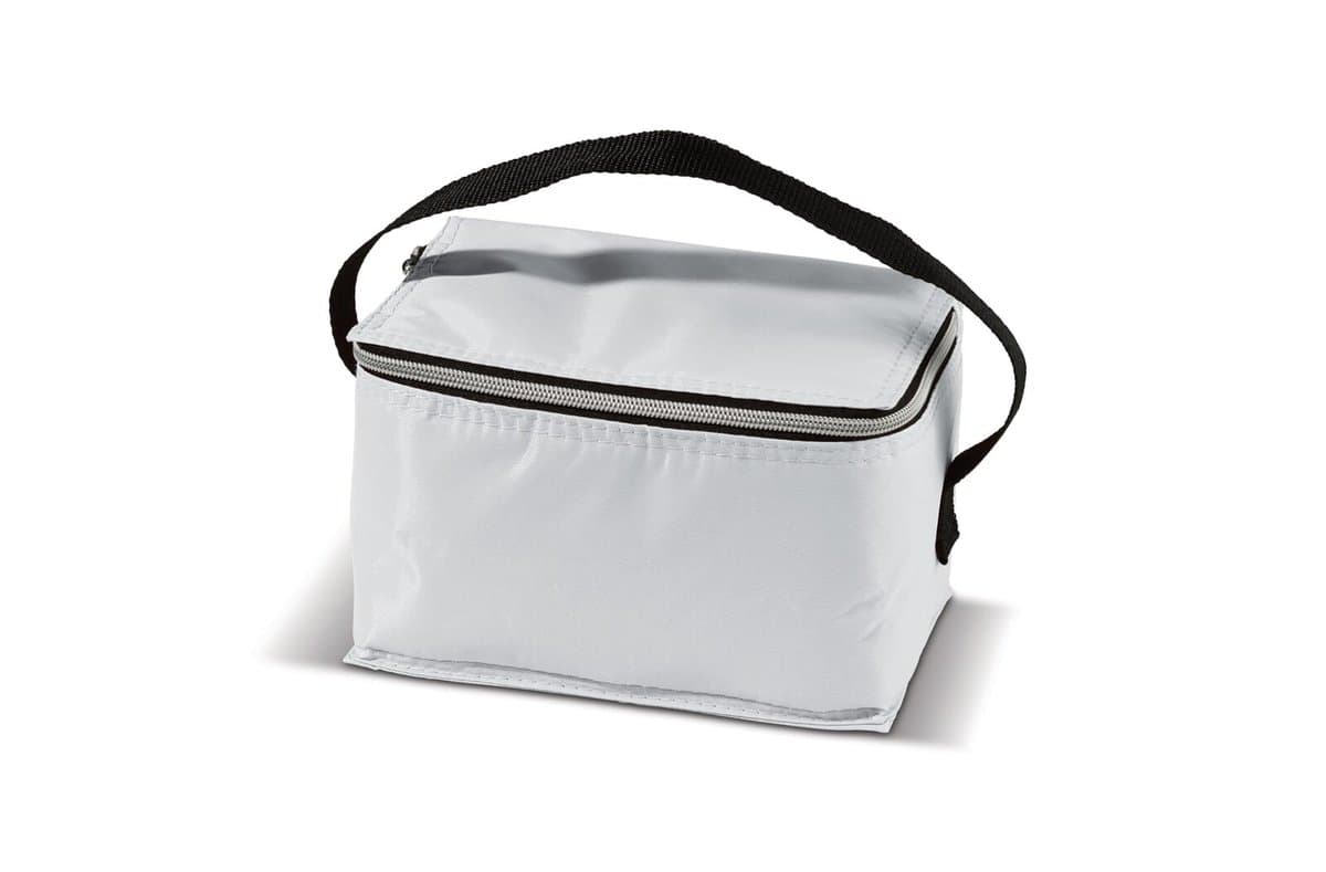 Cooler bag 6pc cans 20 x 12.5 x 13 cm 3