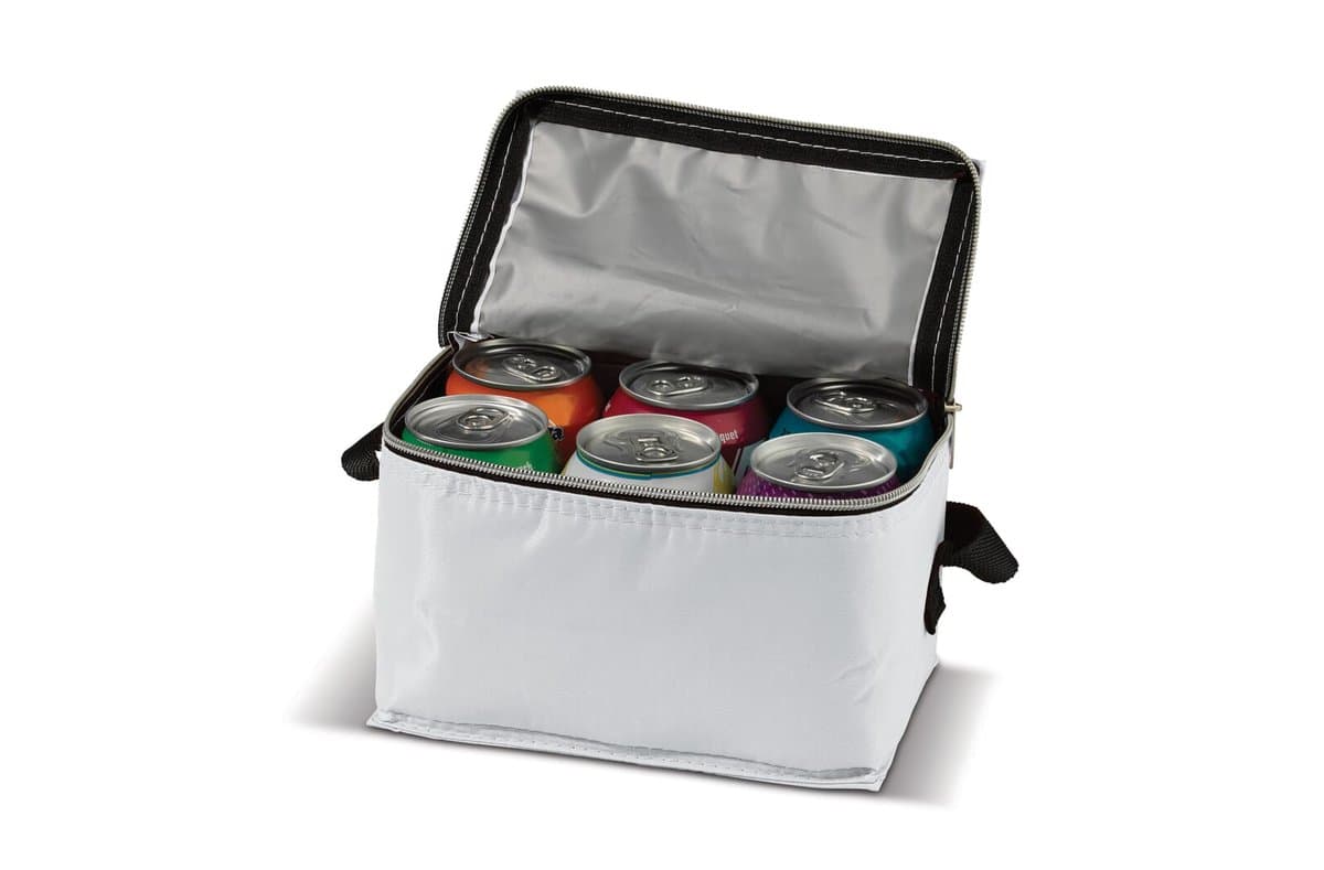 Cooler bag 6pc cans 20 x 12.5 x 13 cm 4