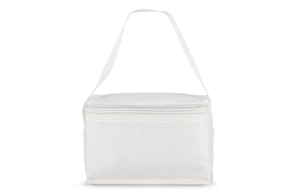 R-PET 6 Can cooler bag non-woven 20x 13 x 12.5cm 75g/m² 5