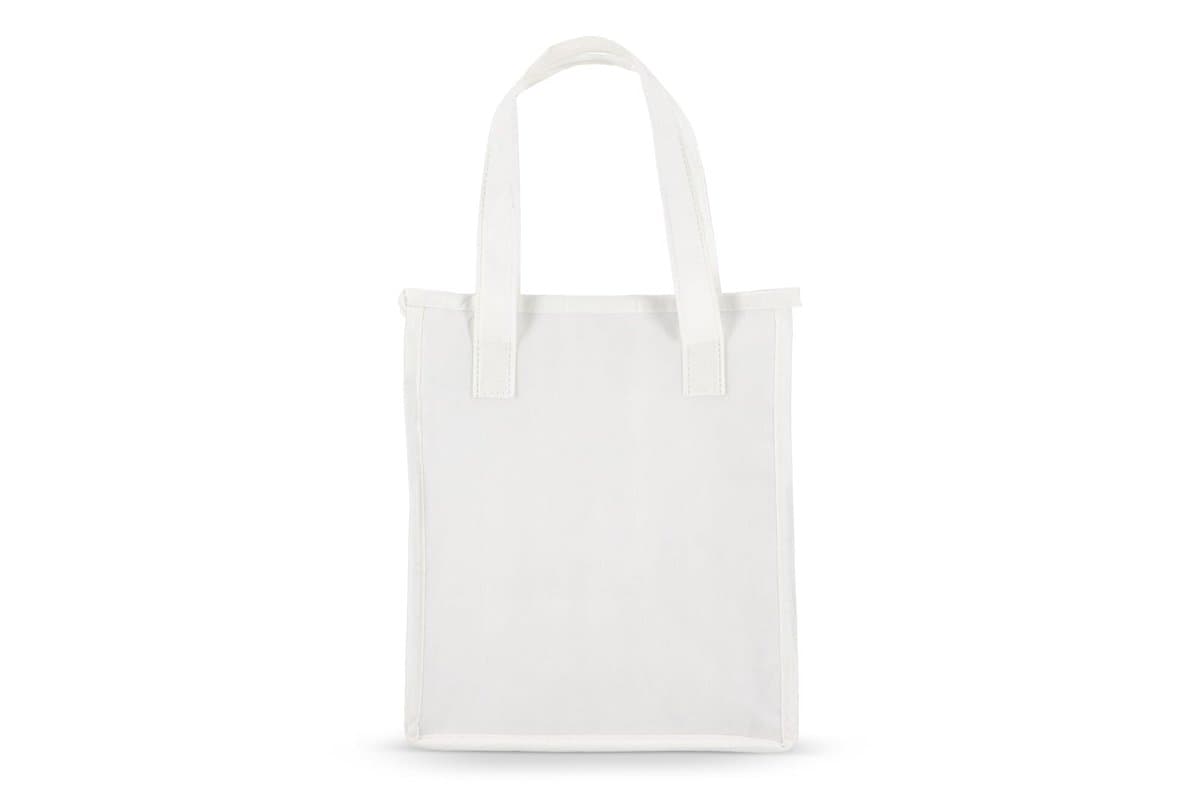 R-PET Cooler bag non-woven 23x 15 x 27.5cm 75g/m² 4