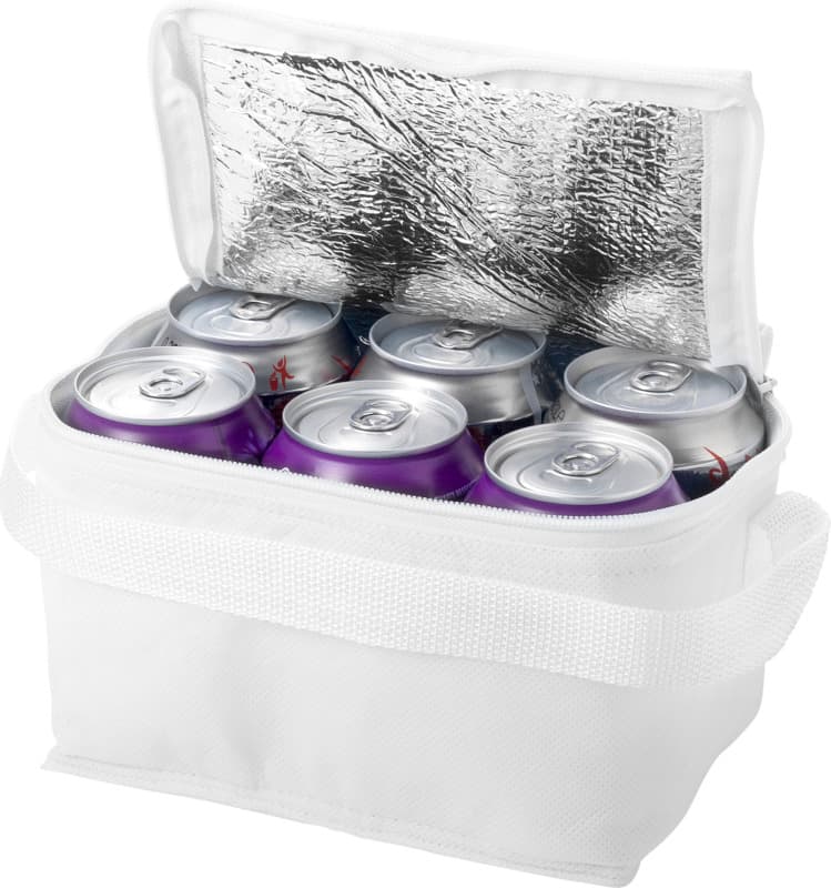 Spectrum 6-can cooler bag 4L