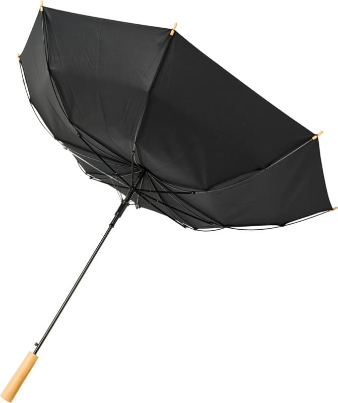 Alina 23" auto open recycled PET umbrella 4