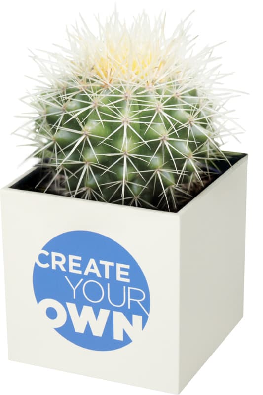 Hey Pots aluminium planted pot - cactus 4